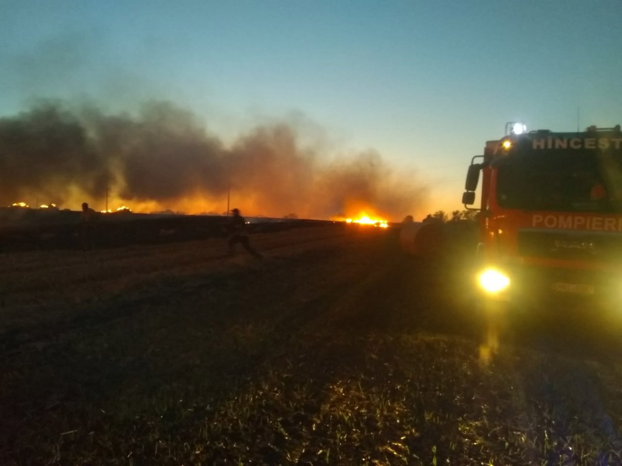 Mai multe hectare de culturi agricole, nimicite de flăcări 