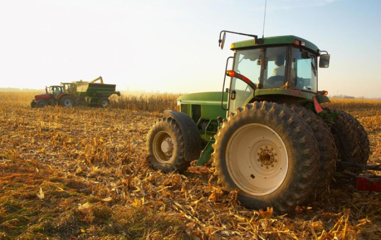 În R. Moldova ar putea fi declarată stare excepțională în agricultură. Vladimir Bolea: „Proiectul va fi prezentat în Parlament”