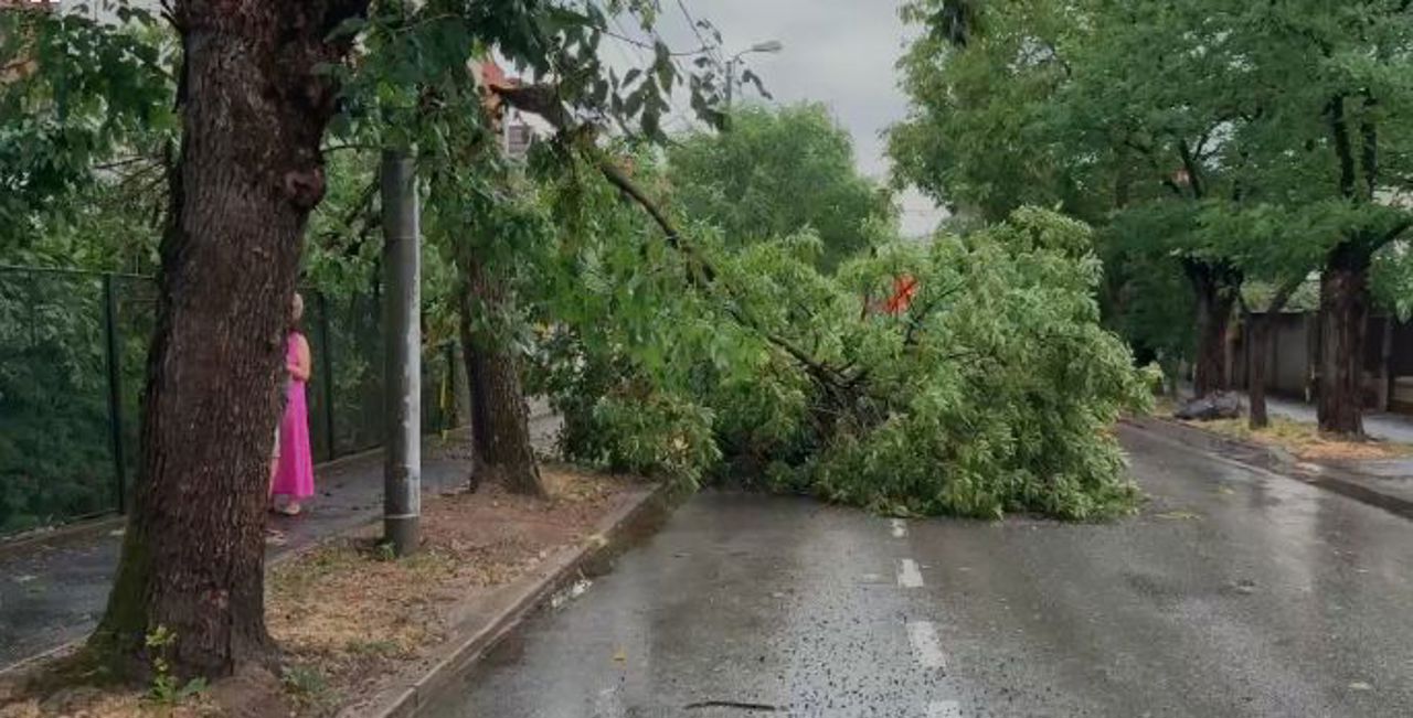 Vântul și ploile din noaptea trecută au provocat pagube în mai multe raioane și în Chișinău