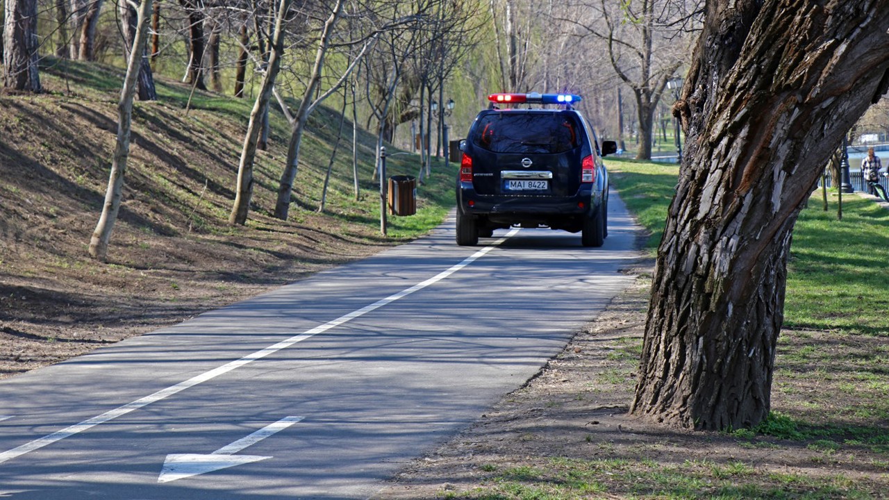 Новое предупреждение синоптиков: в Молдове ожидается сильный ветер с порывами до 86 км/ч