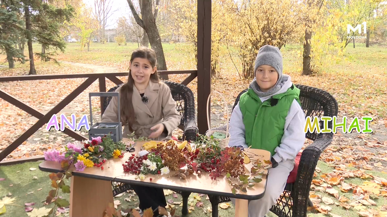 „Magazinul Copiilor” din 1 noiembrie 2025