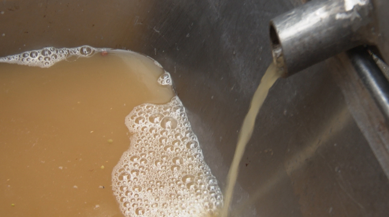 Pericolul invizibil: Fermentarea vinului de casă - primele zile, cele mai periculoase