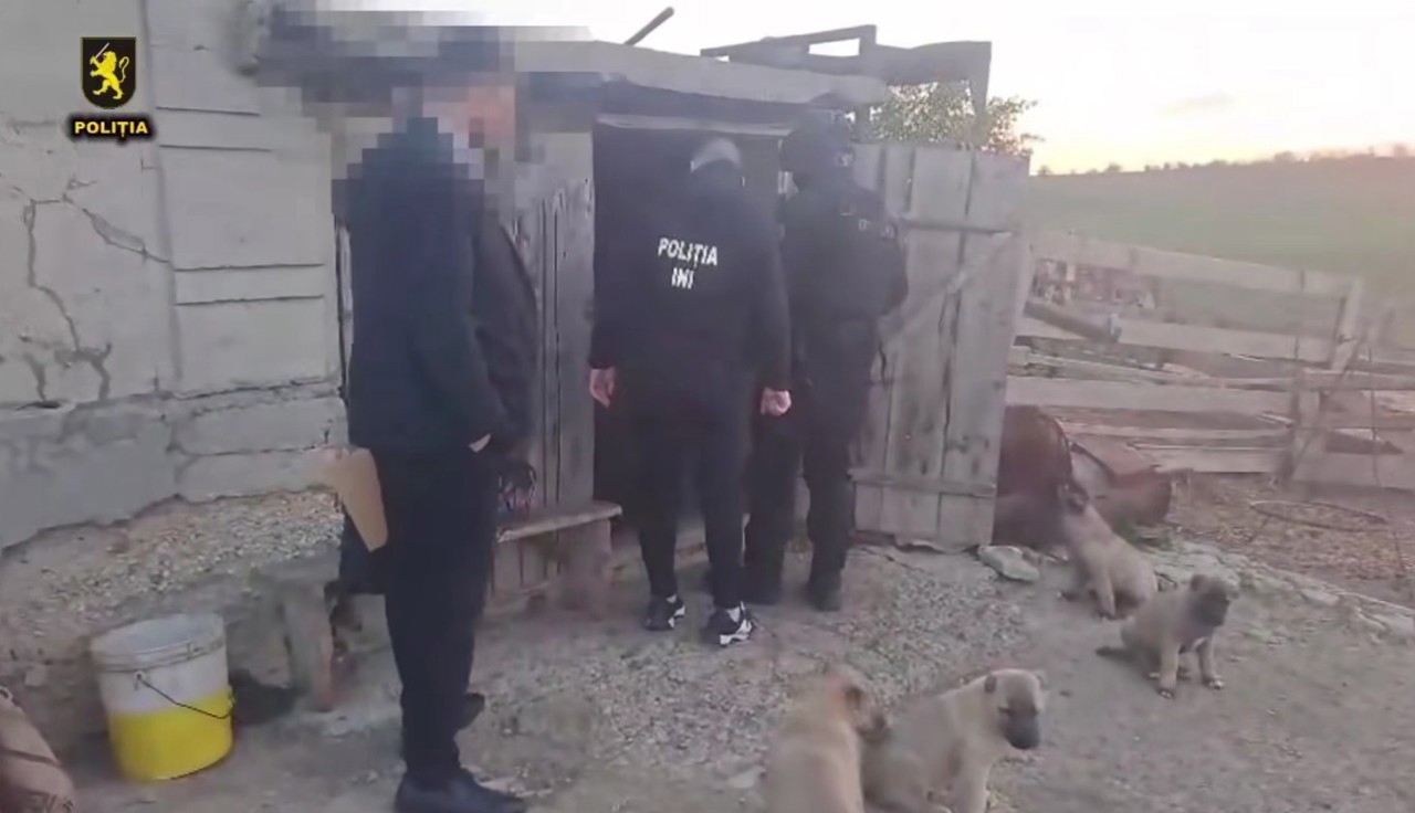 На юге Молдовы поместили под арест трех подозреваемых в похищении