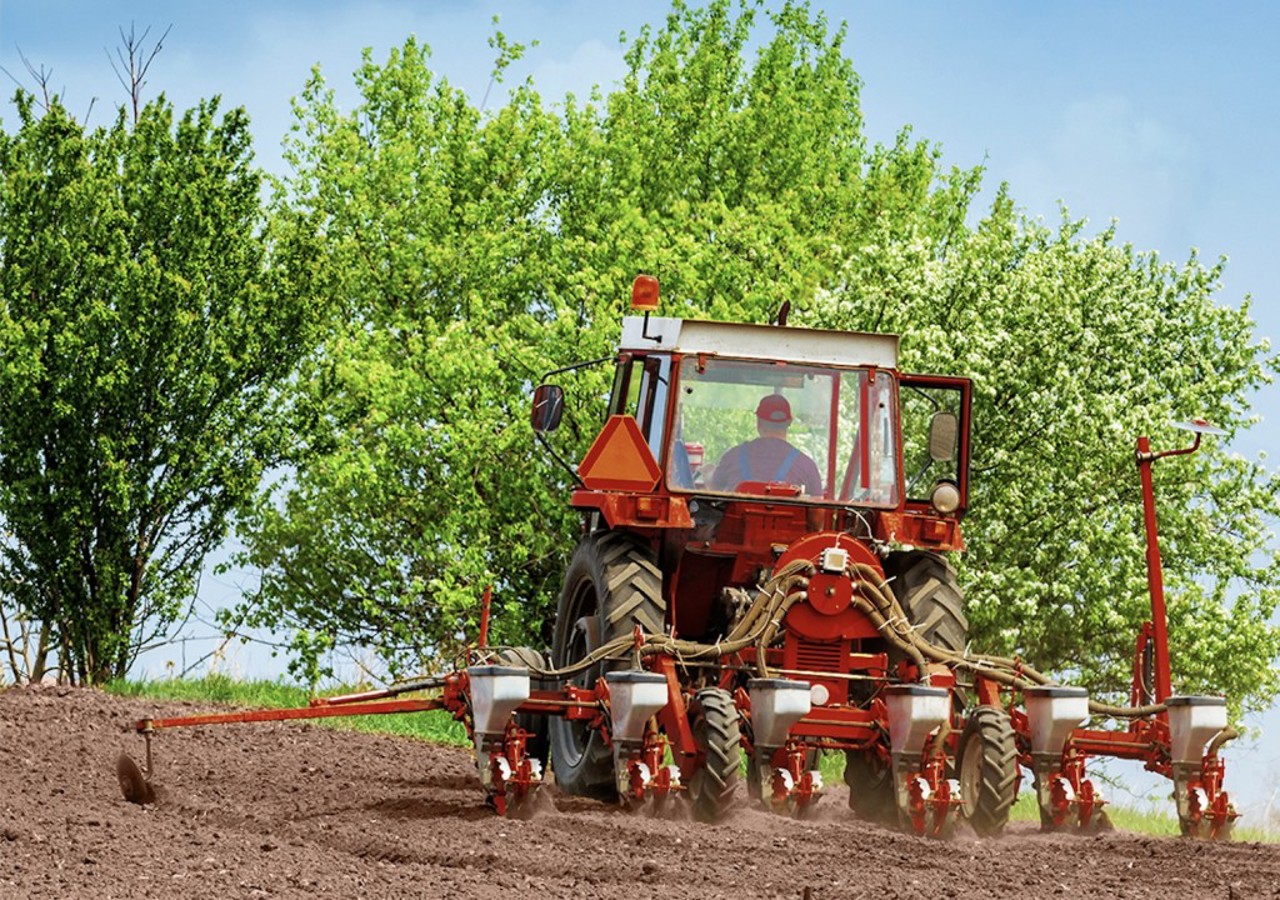 Agricultura sustenabilă | Tot mai mulți fermieri din R. Moldova preferă practicile ecologice