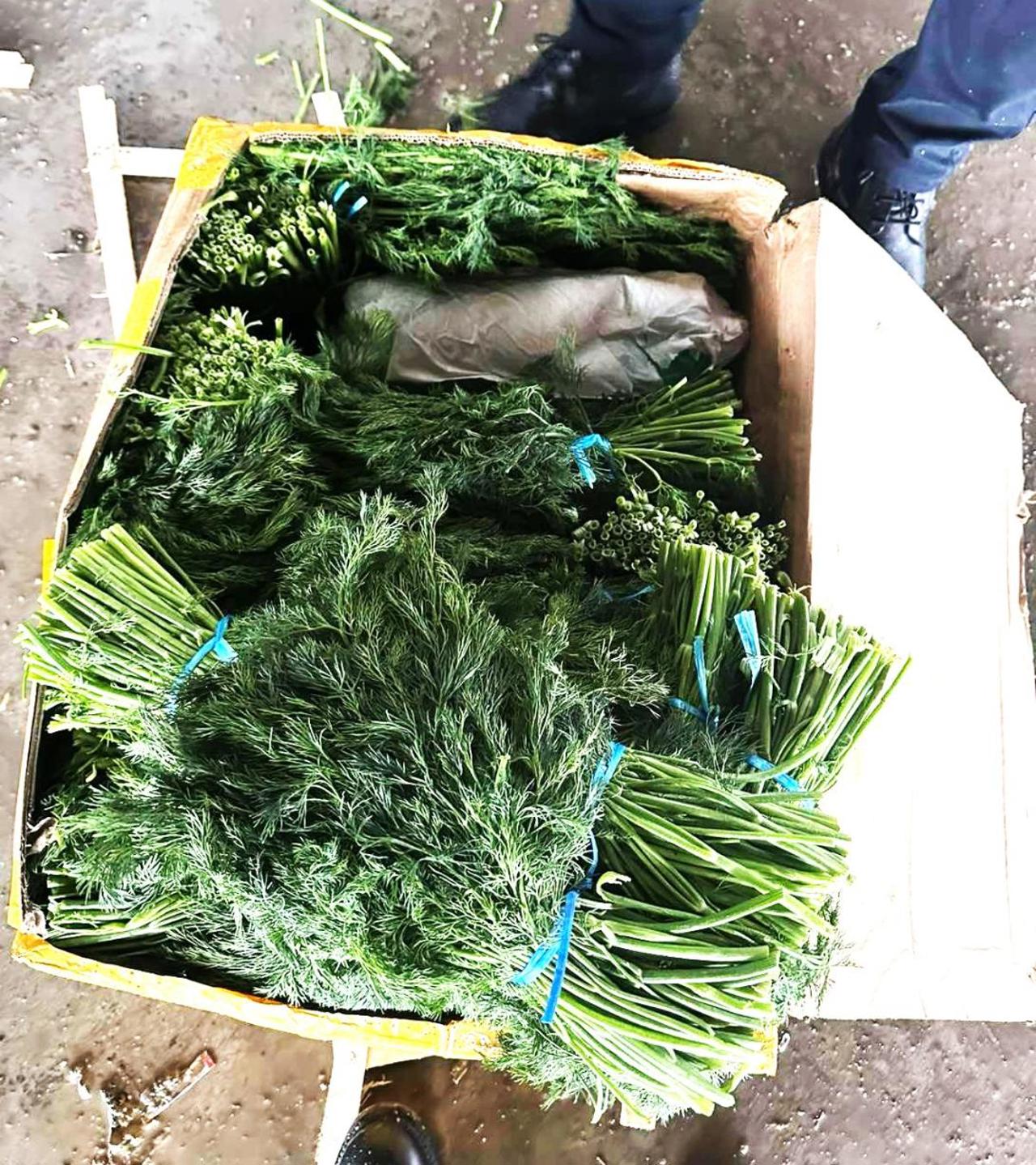 15 tone de mărar nu au ajuns la consumatori: ANSA confirmă depășiri de pesticide