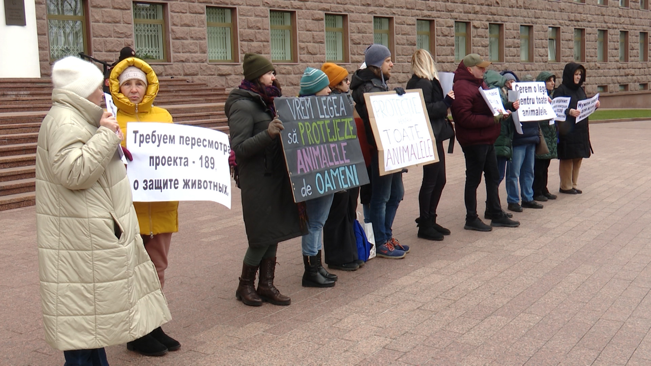 Protest în fața Parlamentului: mai mulți activiști au cerut drepturi egale pentru animale