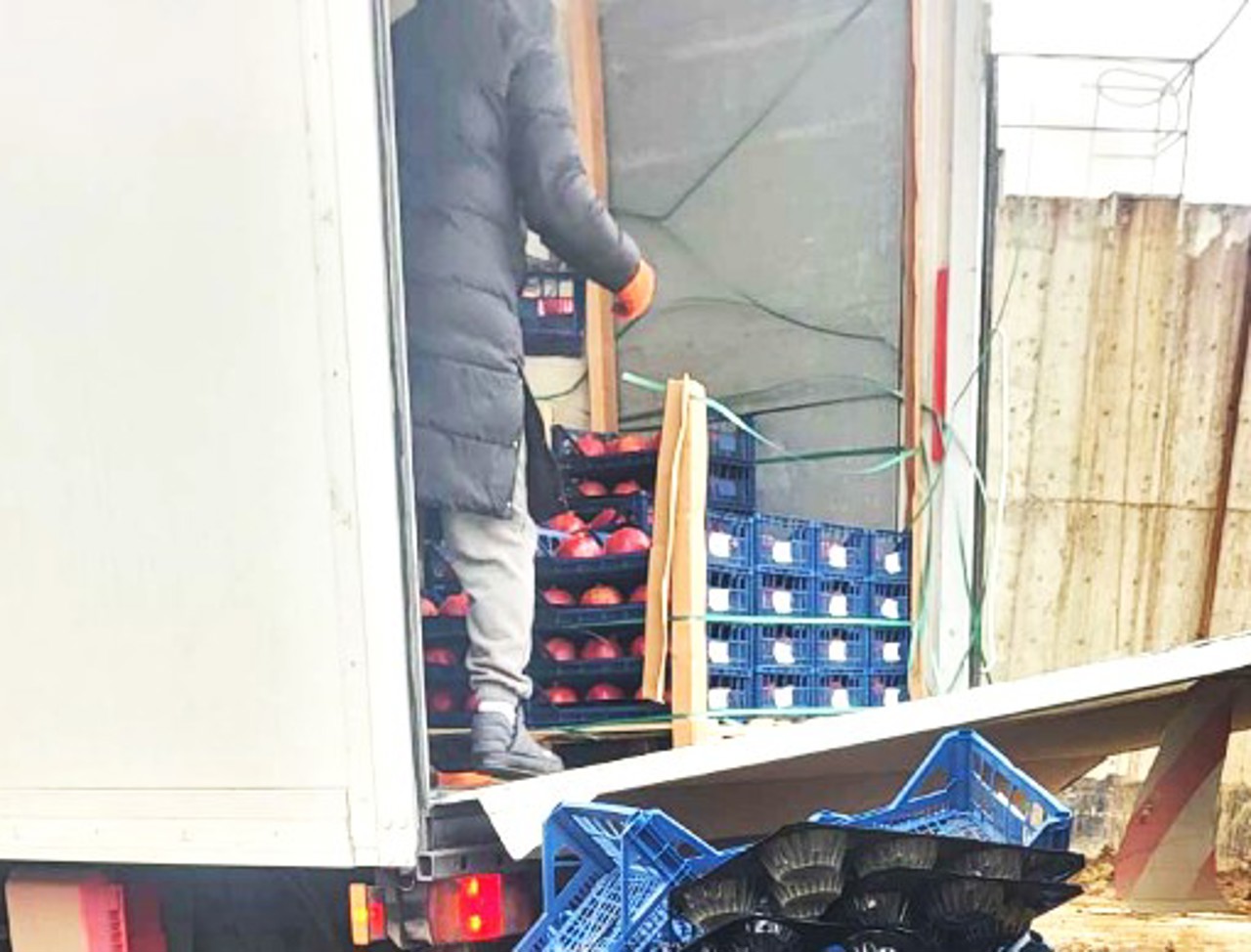 Un lot de peste două tone de rodii importate, nimicit de ANSA din cauza depășirii limitelor de pesticide