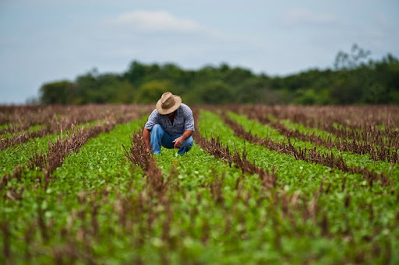 Elveția majorează asistența pentru agricultura din Republica Moldova