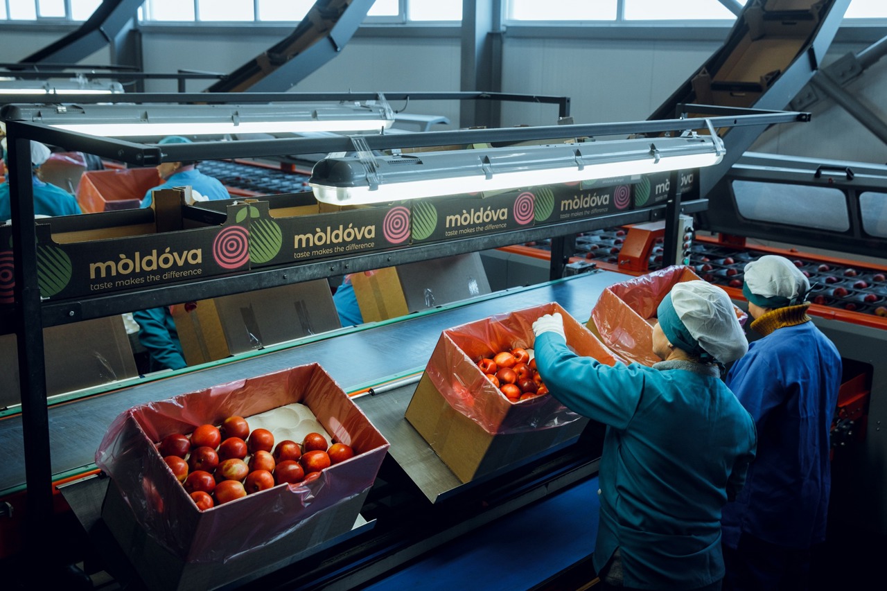 Topul statelor în care R. Moldova și-a exportat cele mai multe produse, de la începutul anului