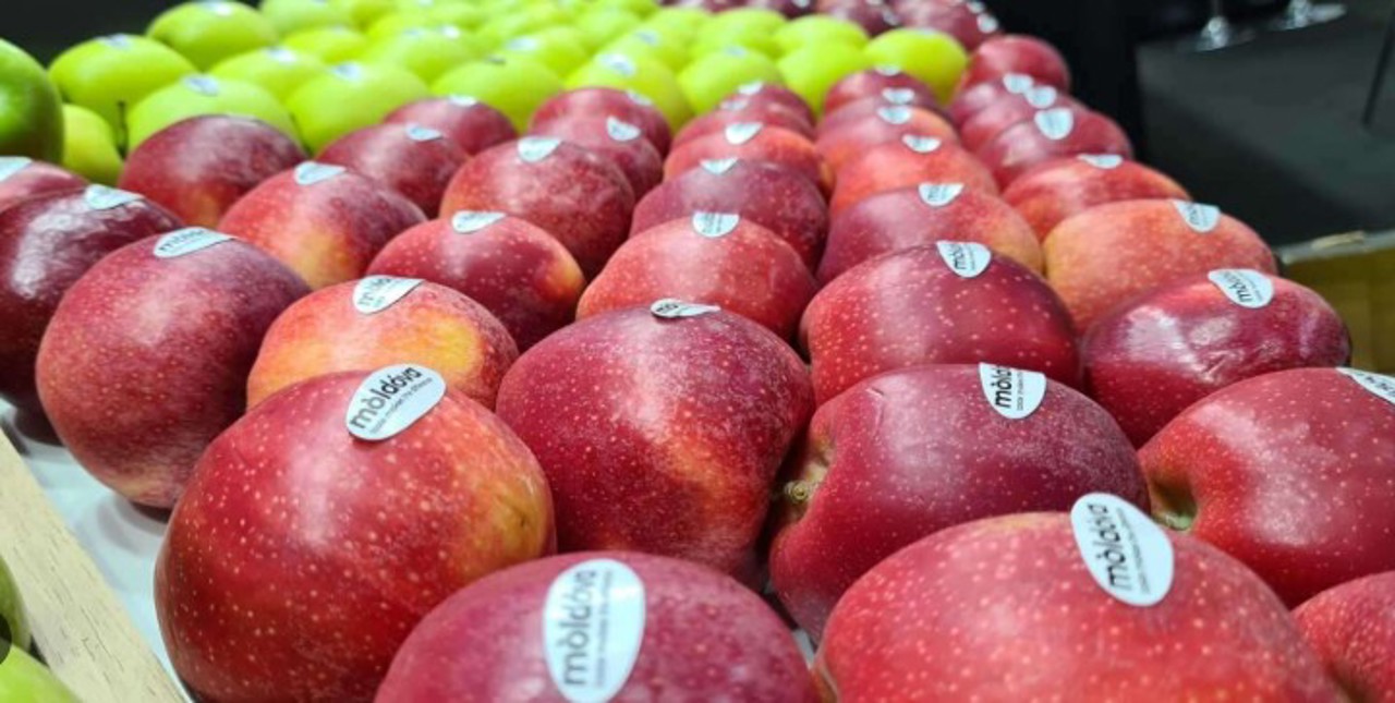 Exporturile moldovenești spre CSI au scăzut la 6%, iar denunțarea Acordului de liber schimb ar avea un impact limitat, afirmă președintele CCI