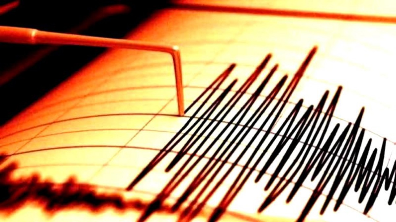 Cutremur cu magnitudinea 4,8 în județul Buzău, resimțit și în R. Moldova