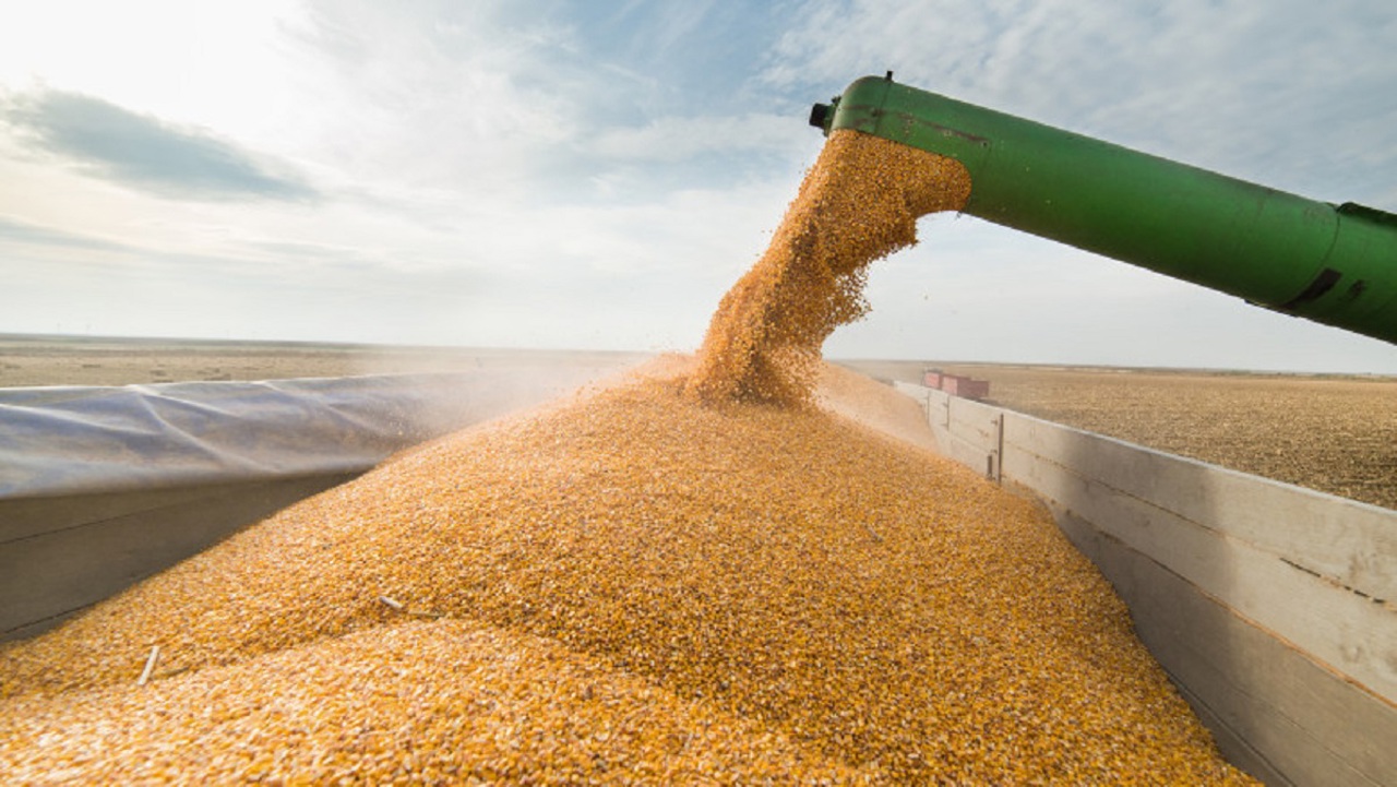 U.S. to help Romania and Moldova transport Ukrainian grain