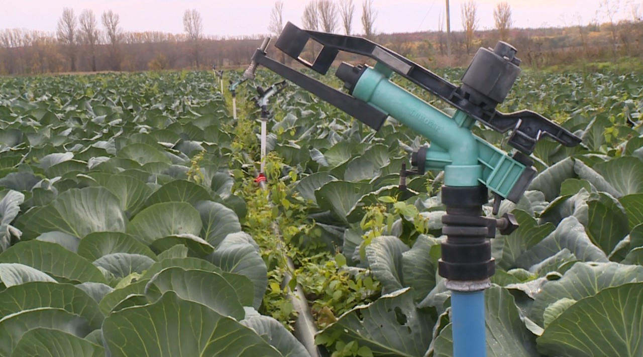 Puhăceni farmers secure good harvests with modern irrigation system