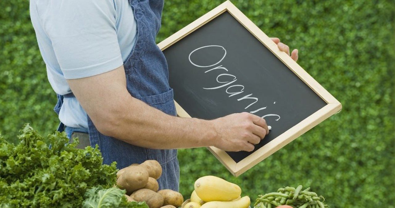 Securitatea alimentară și capcana etichetelor eco: Ghid pentru identificarea fenomenului de „spălare verde”