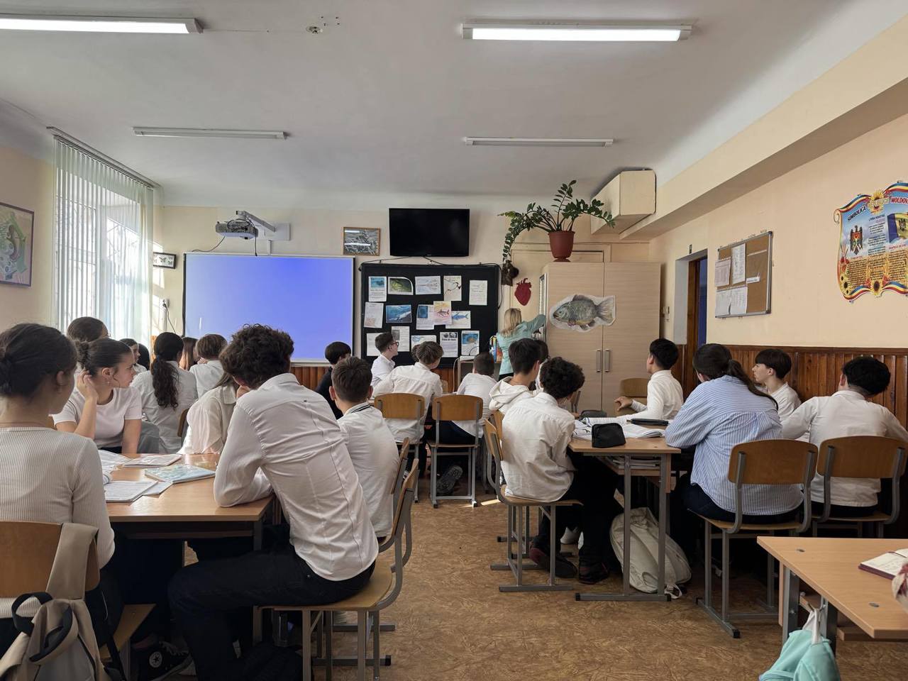 Elevii revin în bănci după vacanța de iarnă: a început cel de-al doilea semestru al anului de studii 