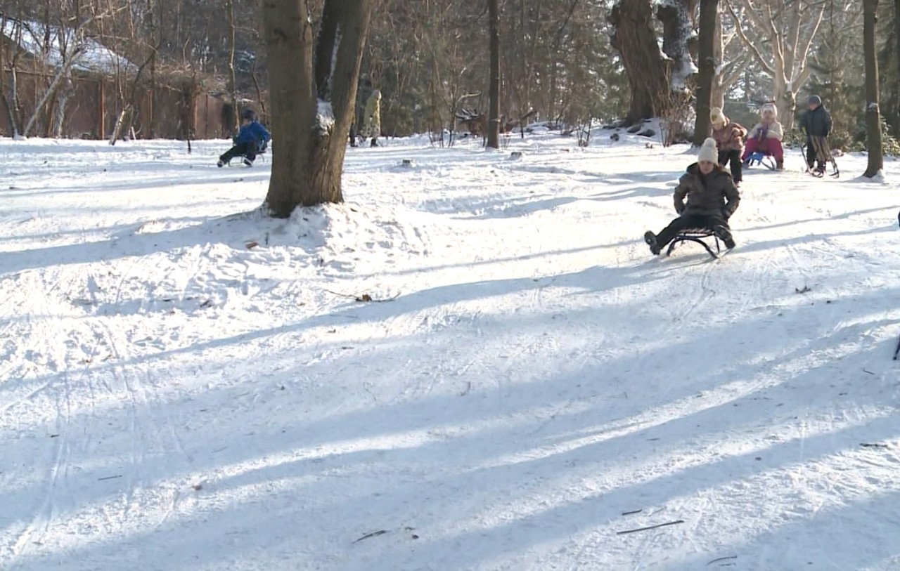 Copiii și adulții au profitat de ninsoare și au ieșit la săniuș: „Savurăm cât este zăpadă”