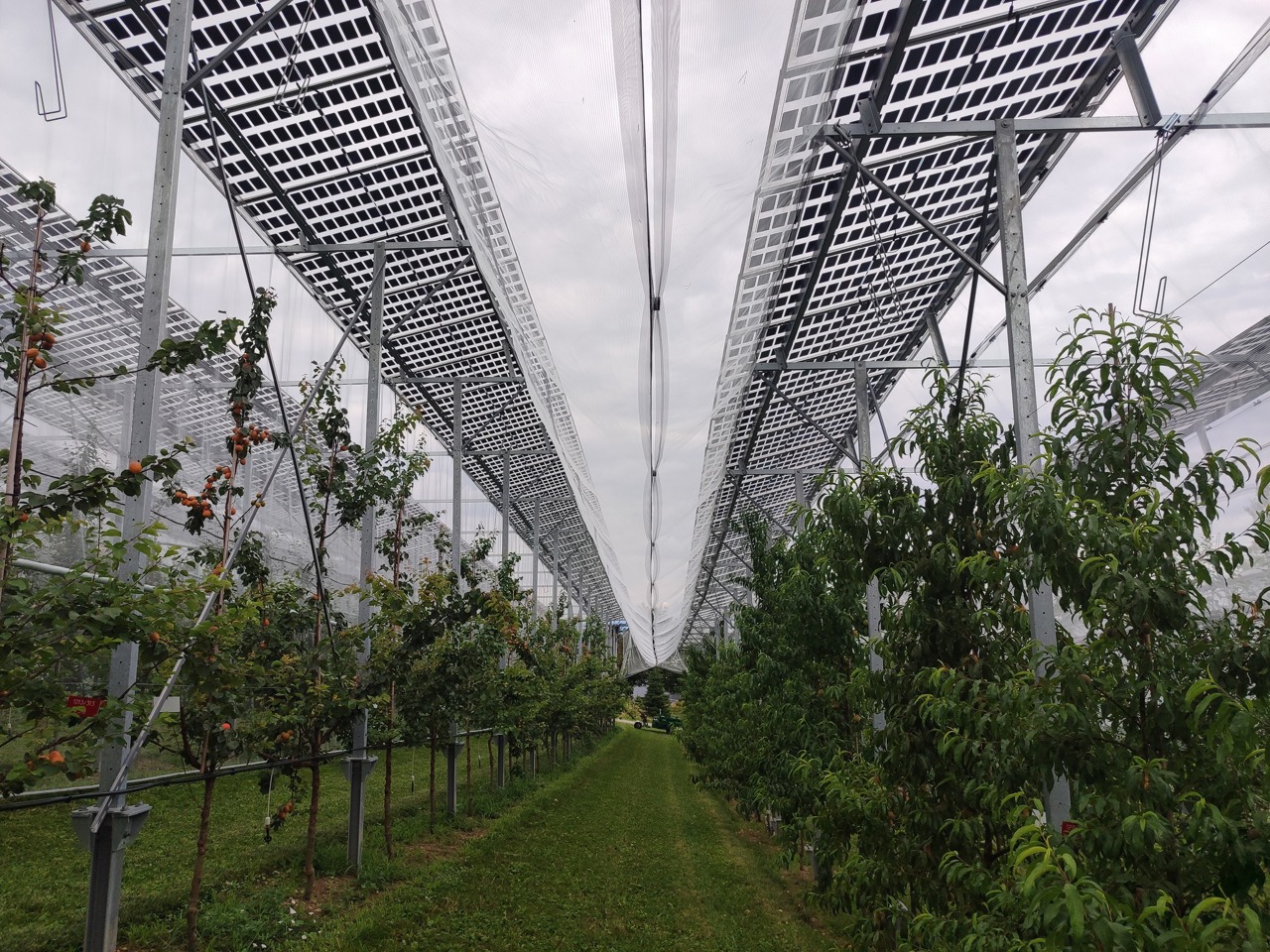 ​AIPA opens new post-investment grants for farmers starting October 13