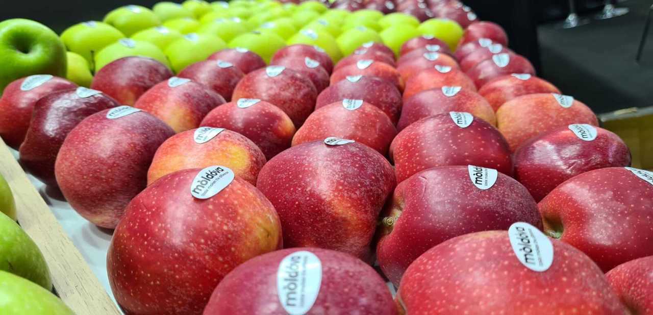 ЕС расширяет доступ на свой рынок для молдавской сельхозпродукции