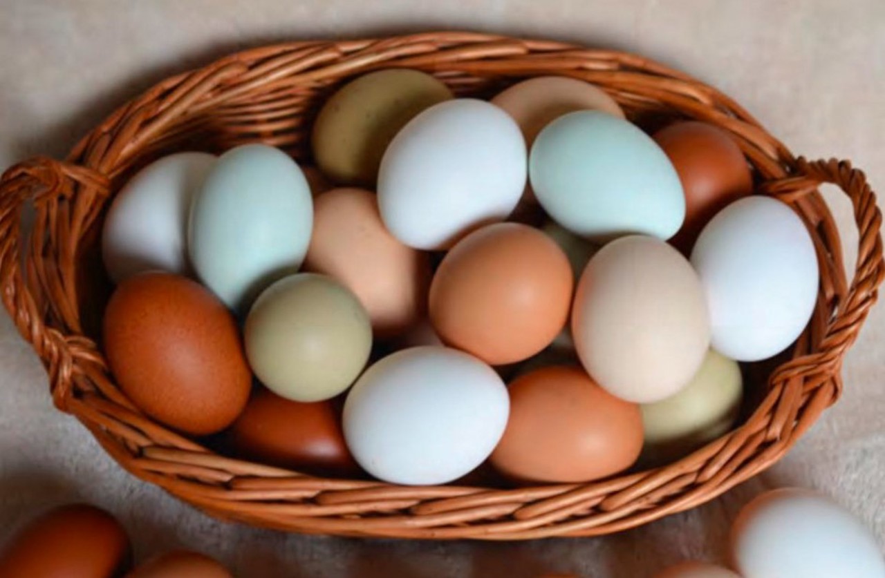 Ouă cu nuanțe de verde sau albastru, produse la Hâncești: „Este o pasiune, nu afacere”