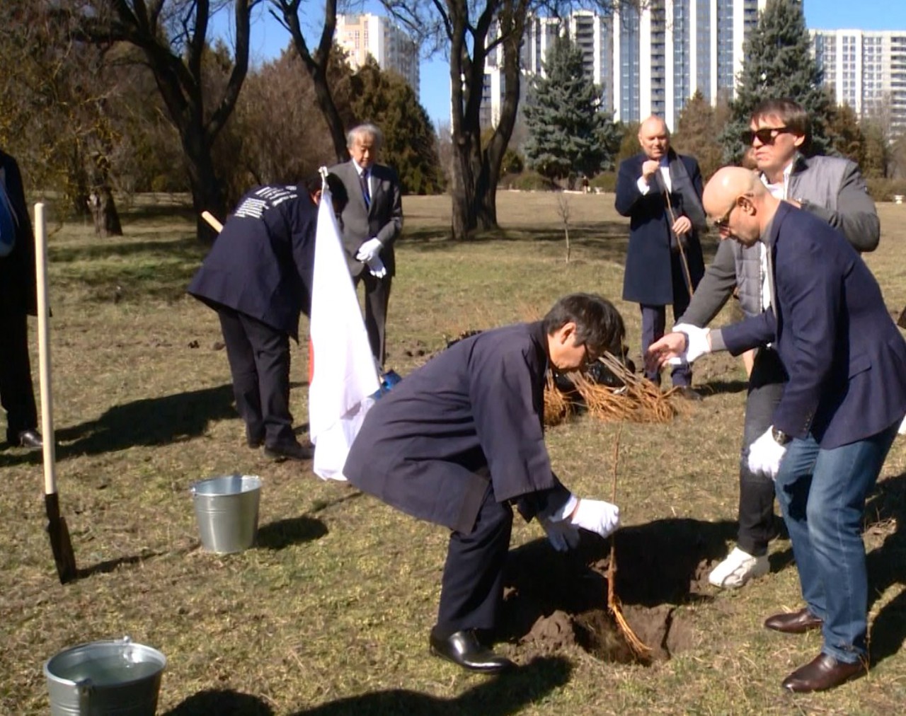 Grădina Botanică s-a îmbogățit cu o nouă alee de cireși japonezi  
