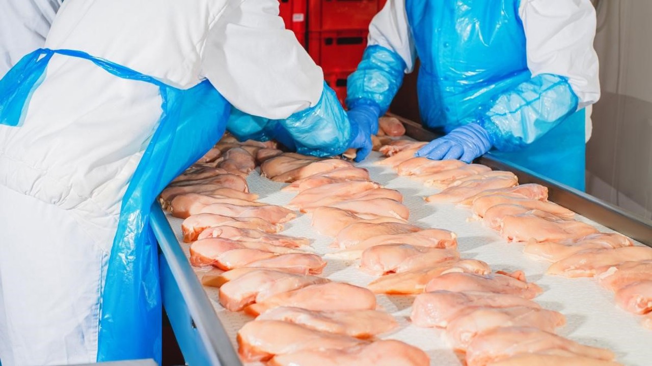 Moldova expands poultry exports to EU