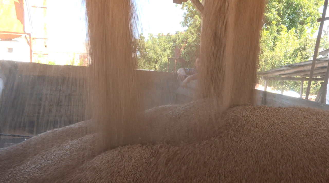 Moldova's grain exports face new hurdles amidst regional instability