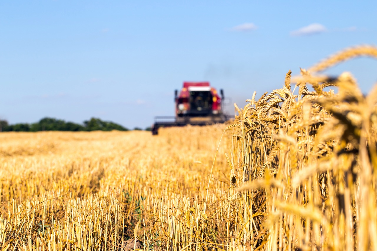 Tot mai puțini fermieri își asigură terenurile și culturile agricole. Care sunt costurile