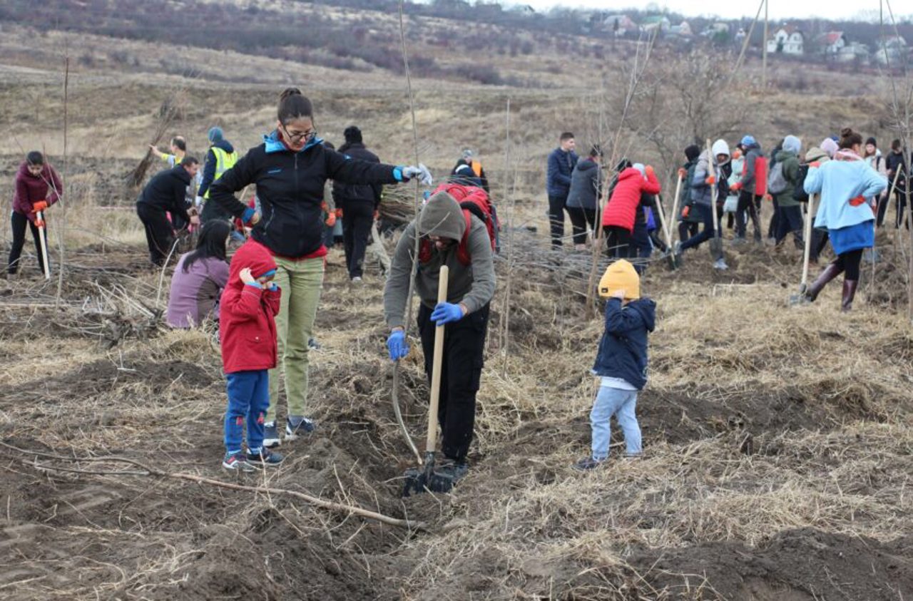 Ultimele pregătiri pentru campania națională de împădurire: Peste 26 de milioane de arbori vor fi plantați pe 4000 de hectare