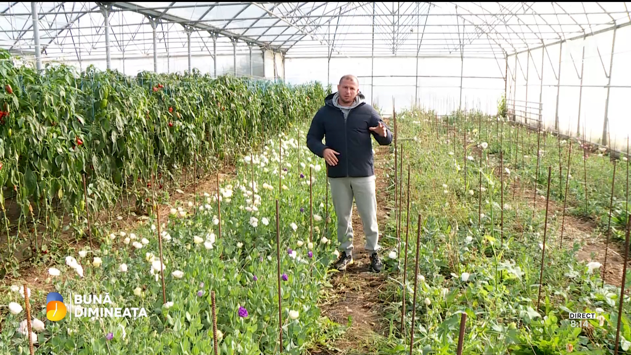 Din străinătate, înapoi la pământul de acasă - povestea unui agricultor care a ales să-și dezvolte afacerea în R. Moldova