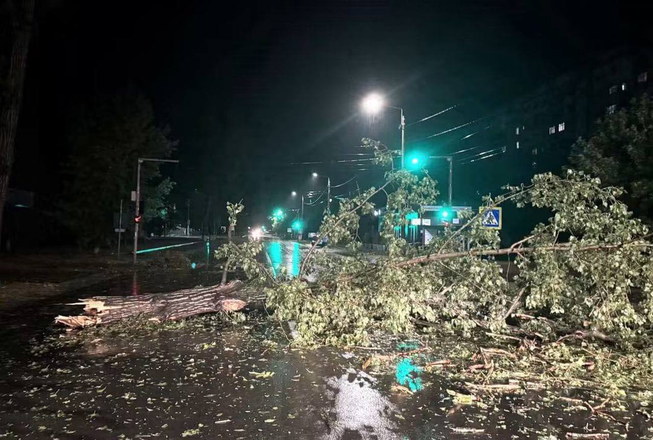 Alertă la Ungheni după precipitațiile abundente: Copaci căzuți, acoperiș deteriorat și fire de electricitate rupte