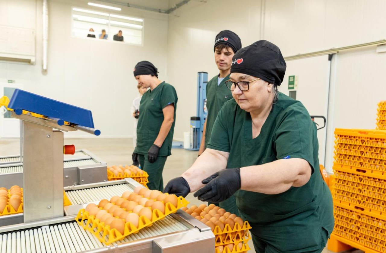 Singura fermă de păsări din R. Moldova ce produce ouă COD1. Din 2026, producția va ajunge la 4 milioane de bucăți pe lună