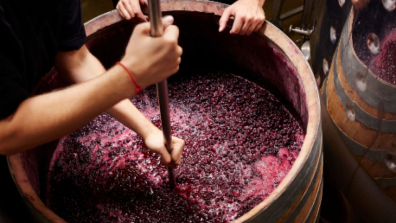 Primele victime ale fermentării vinului din acest an: Un bărbat mort și o femeie salvată în ultimul moment dintr-un beci din Cantemir