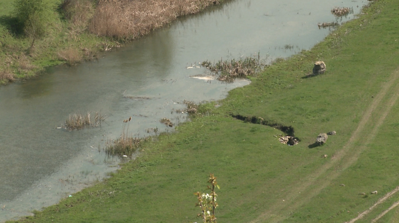 На поверхности Реута заметили белую пену: Инспекция по охране окружающей среды начала расследование