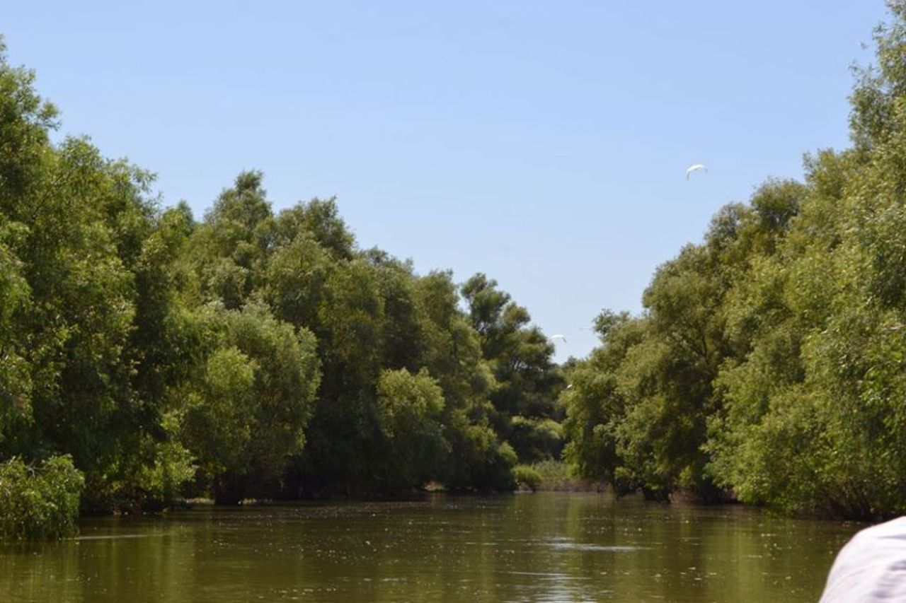 Несовершеннолетний, оставленный на попечение бабушки и дедушки в Республике Молдова, пересек реку Прут, чтобы добраться до своих родителей в Италии