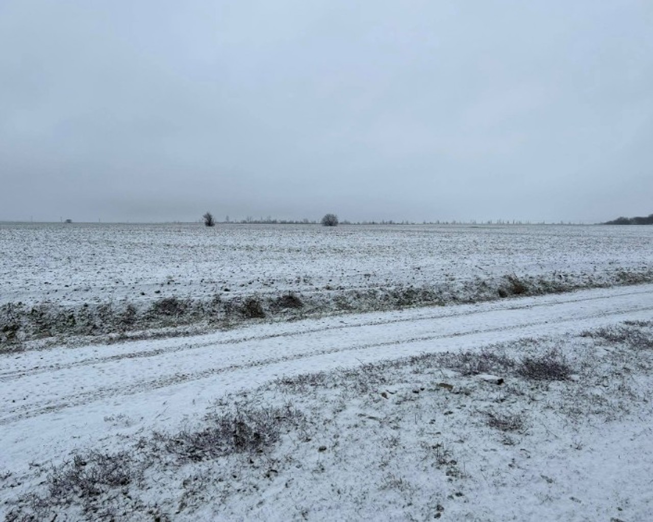 Secretar de stat: Acest an agricol începe cu rezerve mari de umiditate în sol