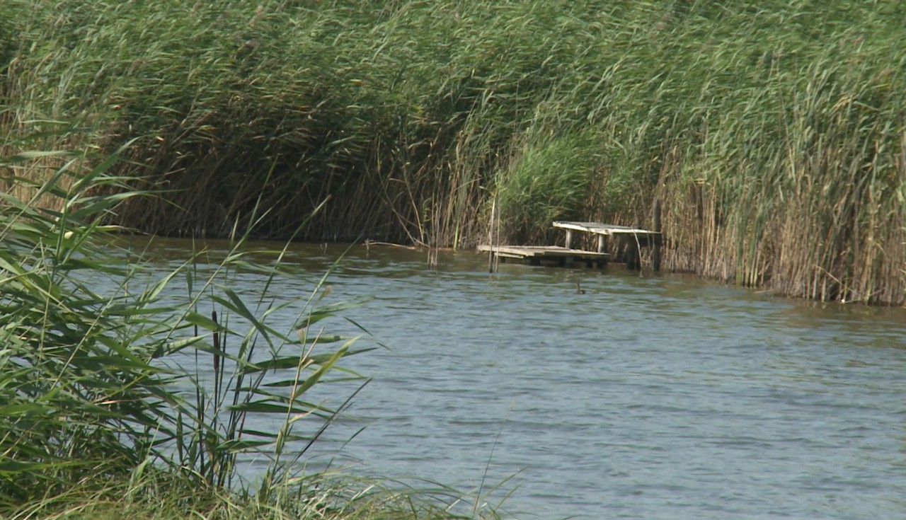 Două zile de doliu în satul Chiperceni, după ce doi frați au fost găsiți înecați