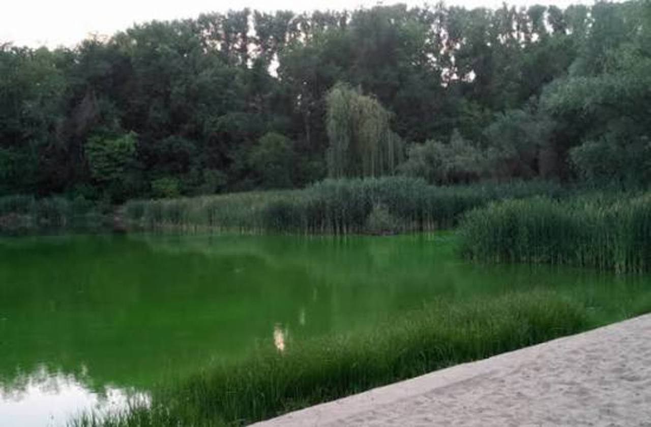 Apă verde în zona lacului „La Izvor” din Chișinău. Termoelectrica: „Nu prezintă pericol pentru populație”