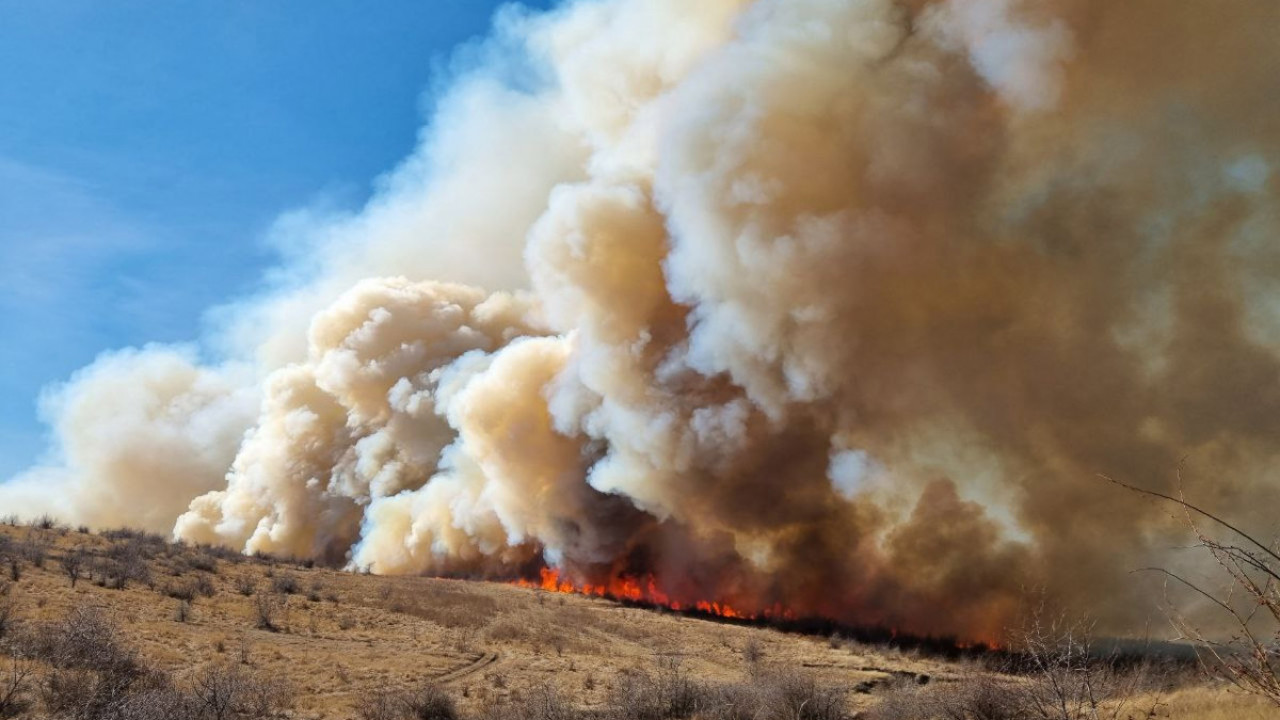 IGSU: Peste 2600 de hectare de vegetație uscată, mistuite de flăcări de la începutul anului