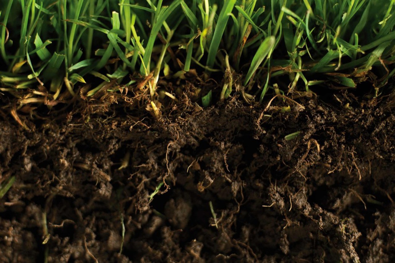 Pământ din R. Moldova, expus la Paris și Chicago ca reper pentru clasificarea solurilor la nivel global