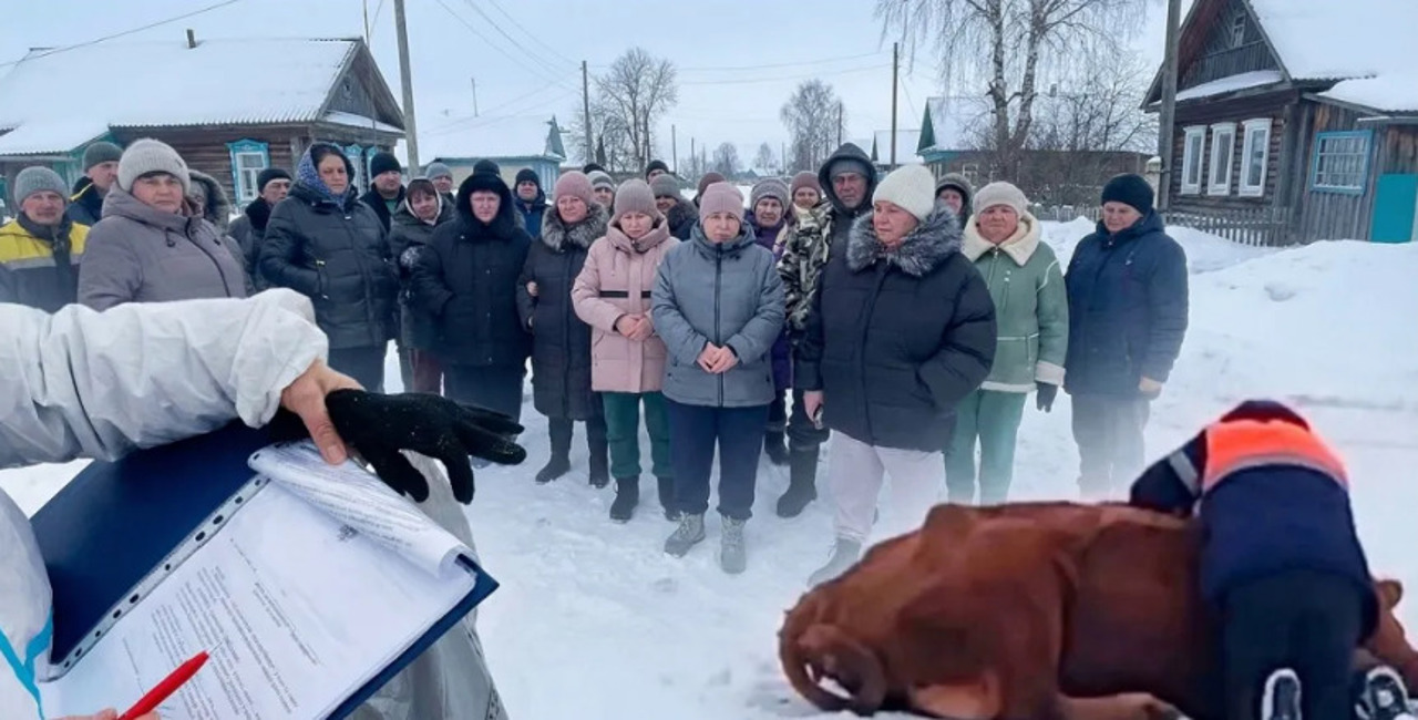 Demisie în plină criză: Ministrul agriculturii din Novosibirsk, înlăturat după scandalul sacrificării animalelor