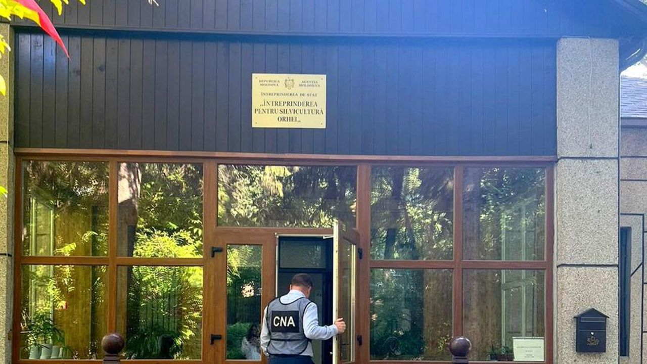 Обыски в оргеевском лесничестве: два человека задержаны на 72 часа