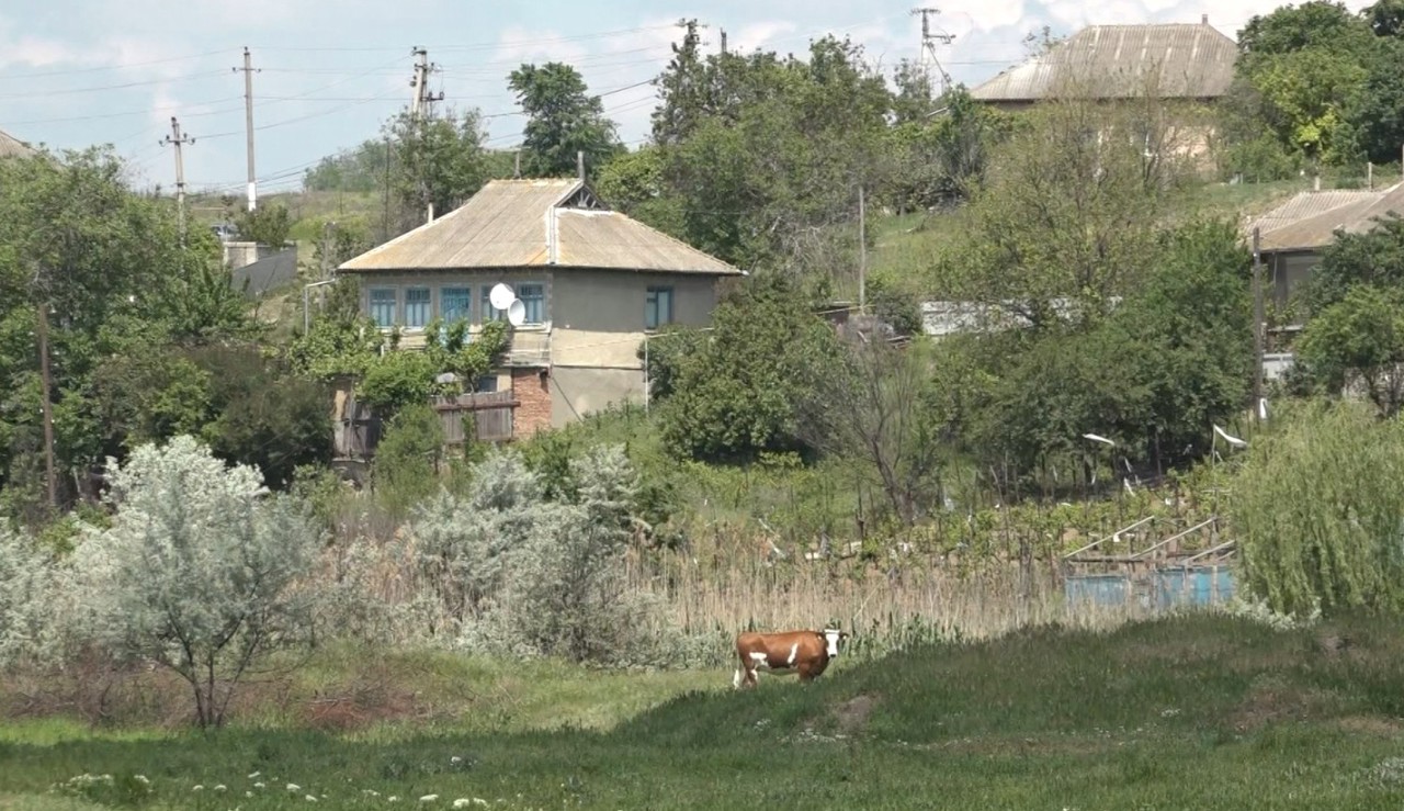 Gospodarii din 33 de localități din raionul Cahul au primit furaje pentru animale