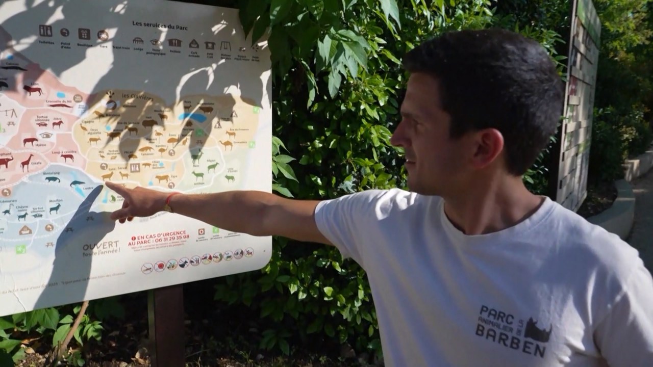 Во Франции 13 человек пострадали из-за удара молнии 