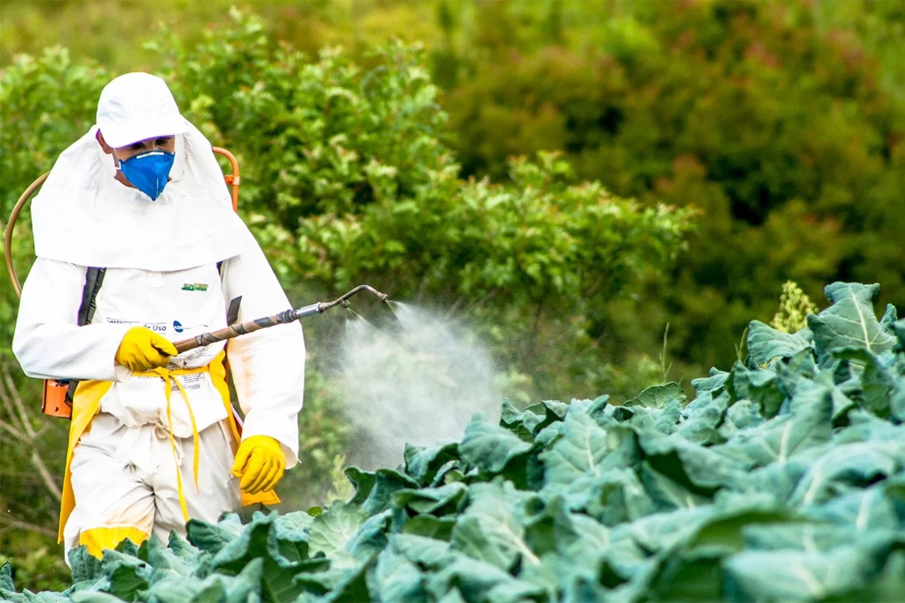 Agricultorii din R. Moldova, îndemnați să reducă volumul de pesticide: 24 de decese și sute de intoxicații în ultimii șapte ani