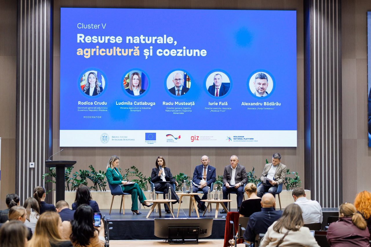Agricultura în Europa: „Acolo unde oamenii lucrează împreună, pot cumpăra utilaje mai bune, pot vinde mai ieftin și pot ajunge pe piețe mari”