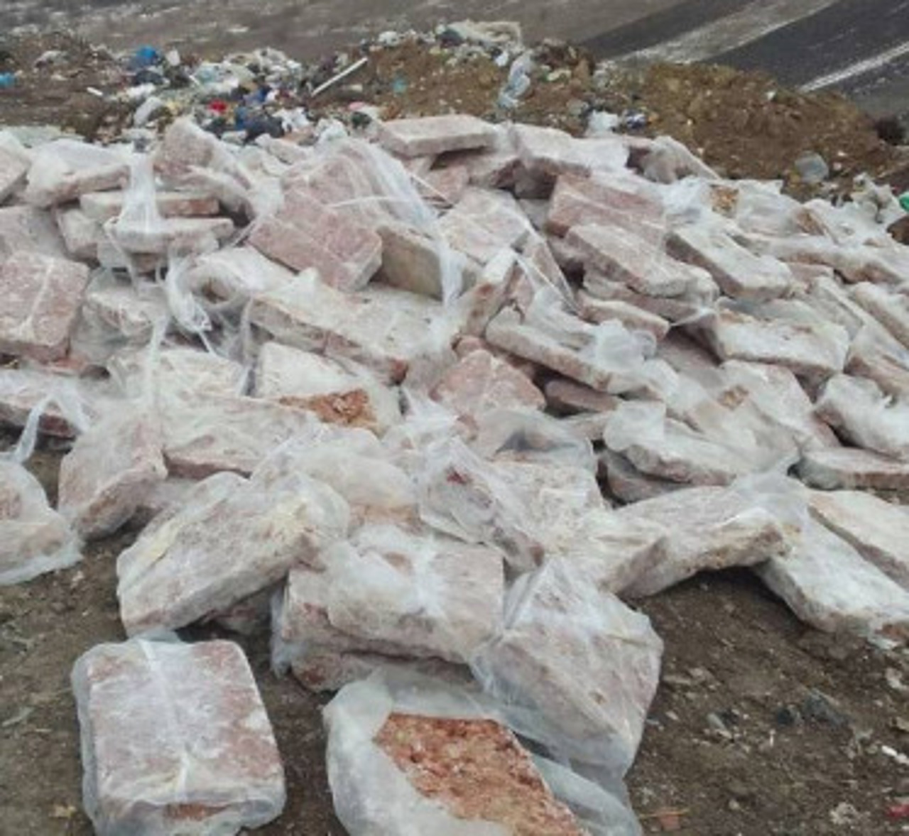 Inspecția de mediu și poliția, pe urmele persoanelor care au îngropat la gunoiștea de la Puhoi, Ialoveni, cantități impunătoare de carne tocată 