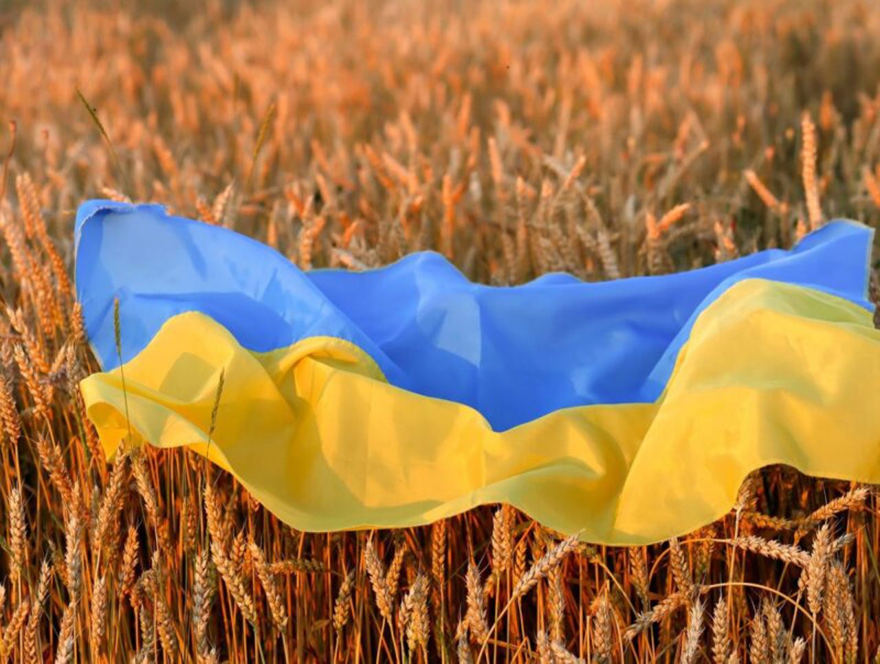 Ukraine criticises Poland's decision to block agricultural products. Hungary joins the ban