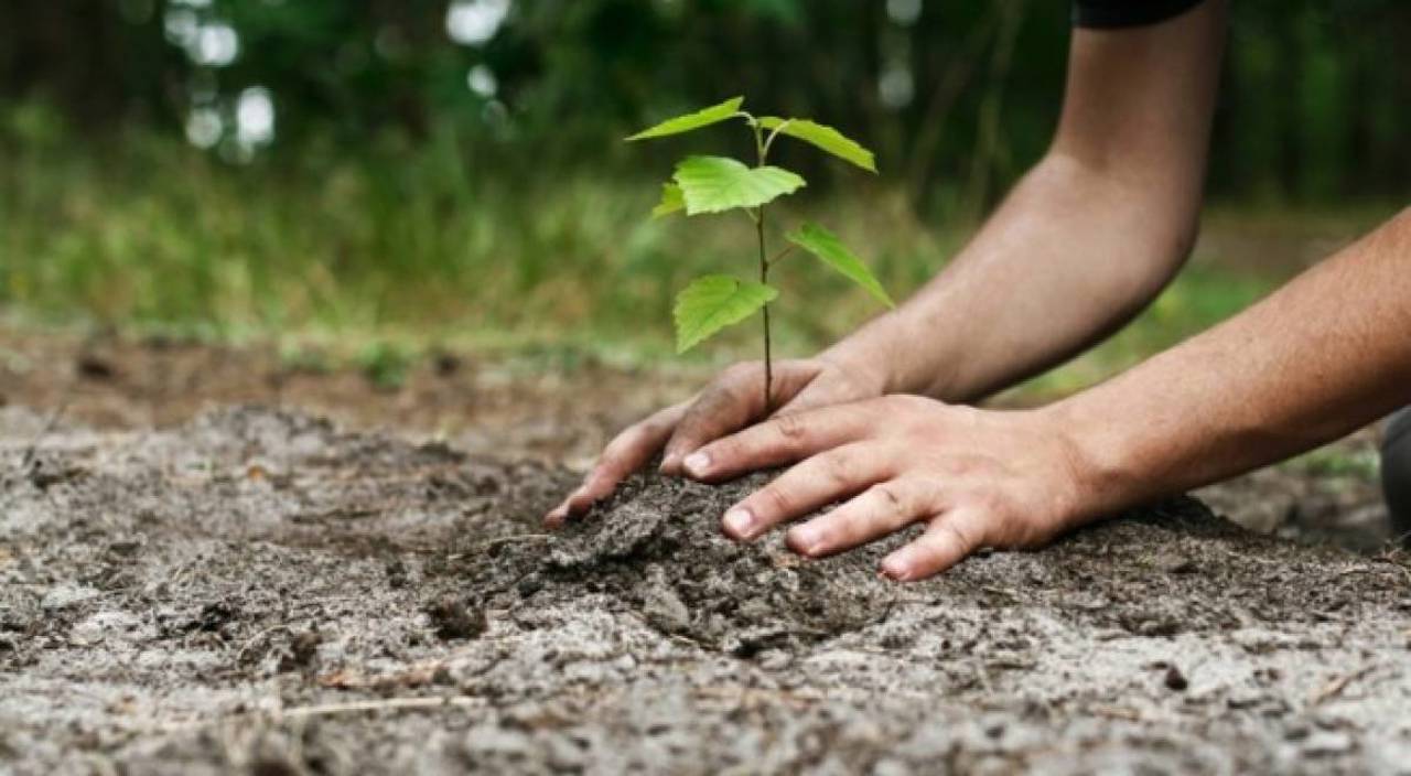 Valea râului Molovateț, mai protejată și adaptată la noile realități climatice 