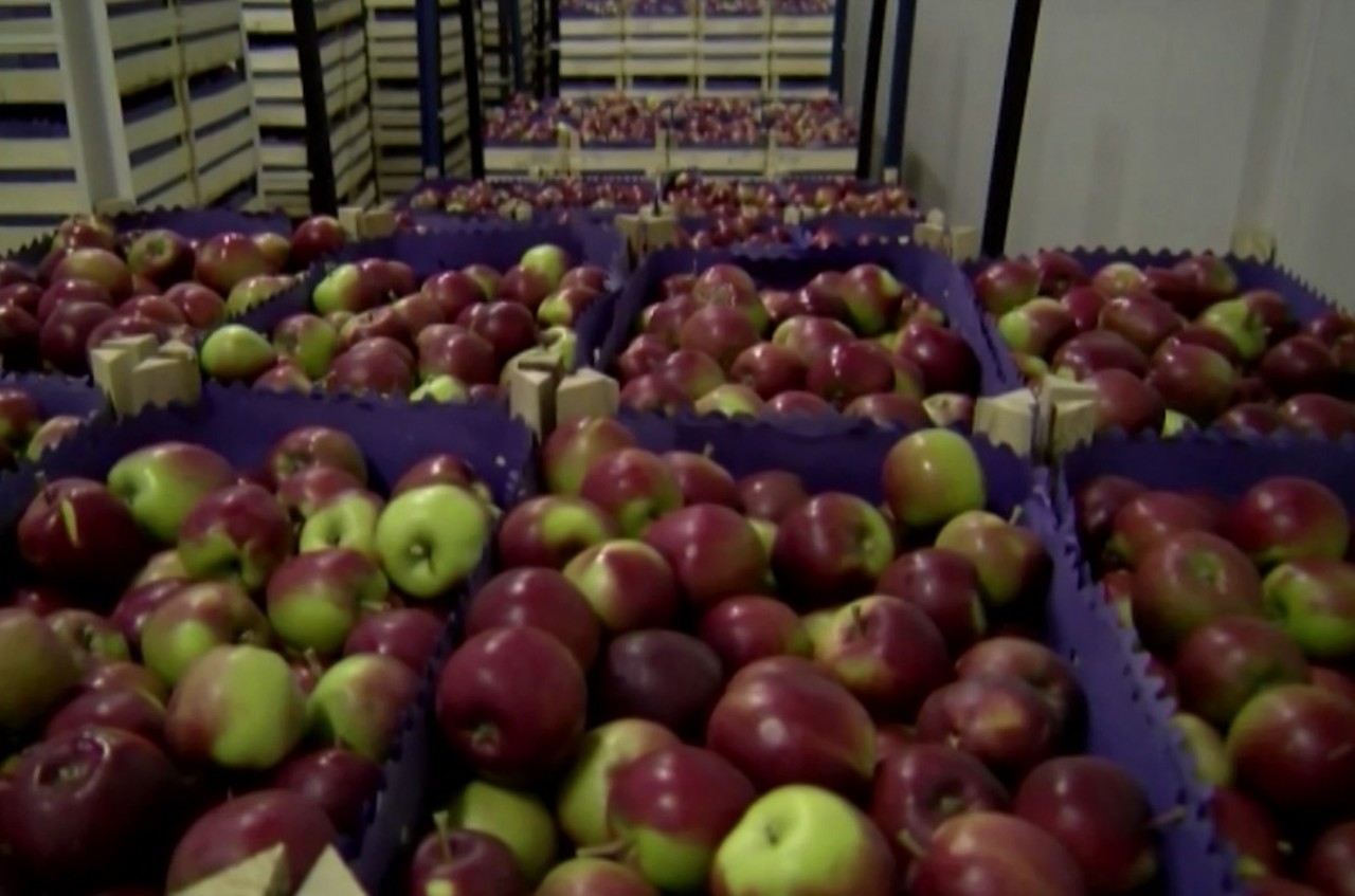 Middle East conflict hits local exporters: “Many containers return”