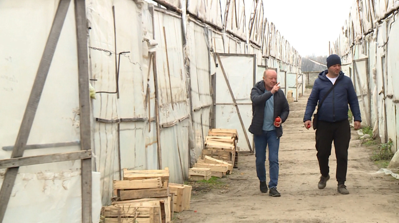 „Nu era nevoie de medici veterinari”: cum tranziția anilor ’90 l-a redirecționat pe un veterinar din Anenii Noi spre legumicultură